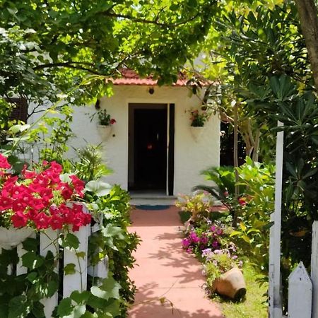 La Corte Delle Rose B&B Praia a Mare Bagian luar foto