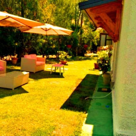 La Corte Delle Rose B&B Praia a Mare Bagian luar foto