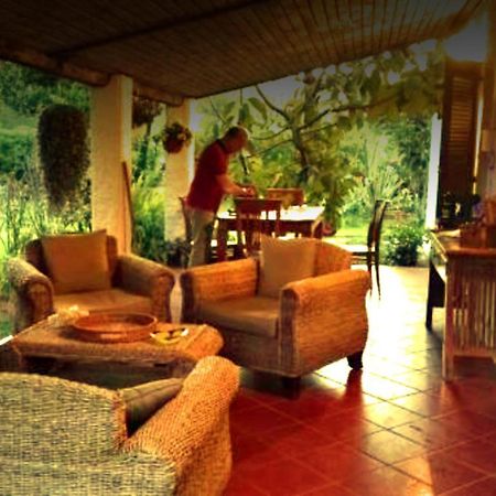 La Corte Delle Rose B&B Praia a Mare Bagian luar foto