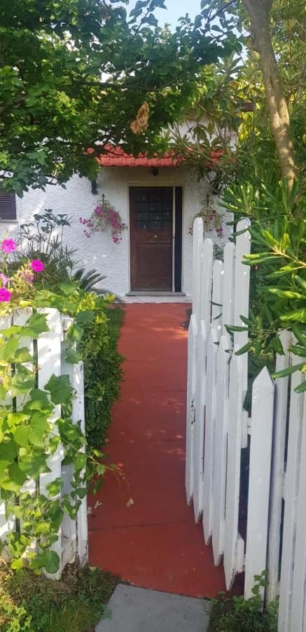 La Corte Delle Rose B&B Praia a Mare Bagian luar foto
