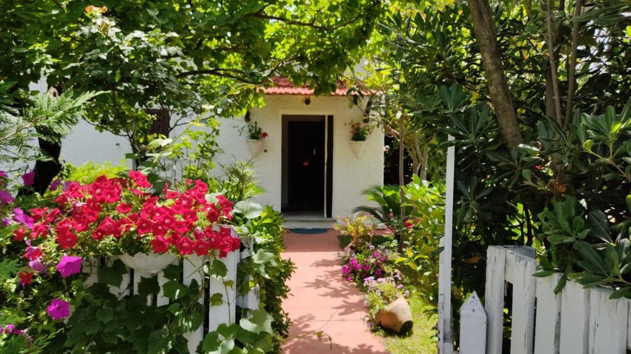 La Corte Delle Rose B&B Praia a Mare Bagian luar foto