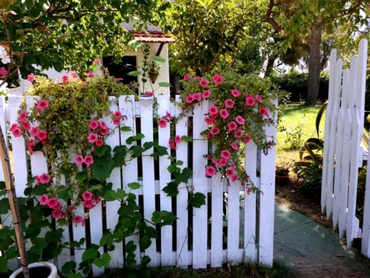 La Corte Delle Rose B&B Praia a Mare Bagian luar foto