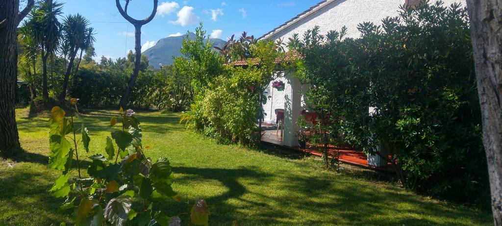 La Corte Delle Rose B&B Praia a Mare Bagian luar foto