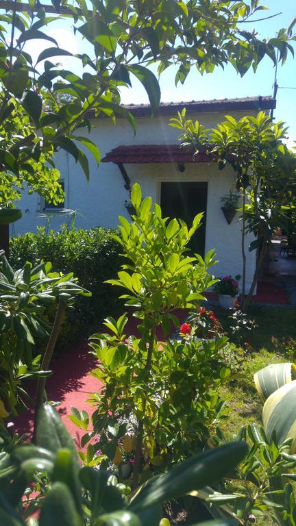 La Corte Delle Rose B&B Praia a Mare Bagian luar foto