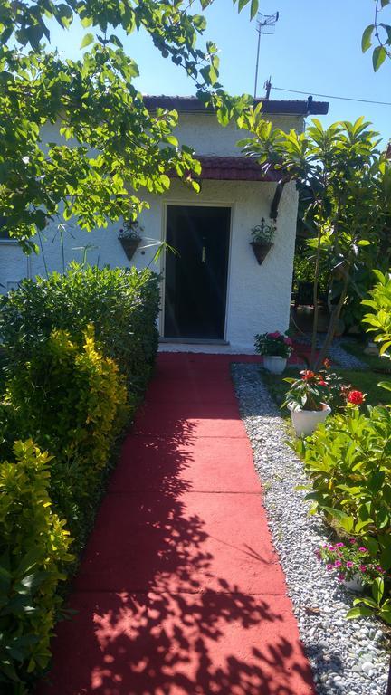 La Corte Delle Rose B&B Praia a Mare Bagian luar foto
