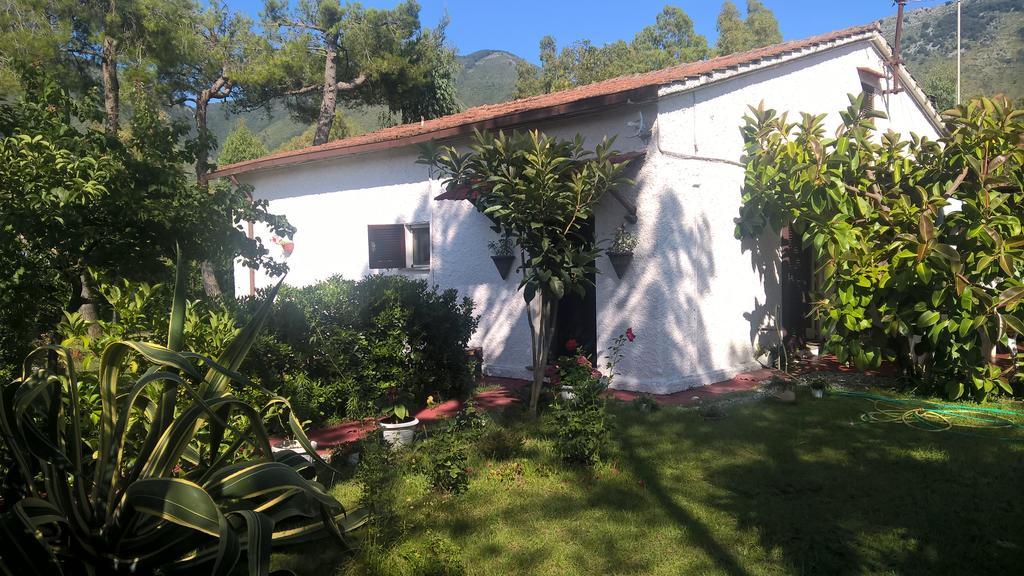 La Corte Delle Rose B&B Praia a Mare Bagian luar foto