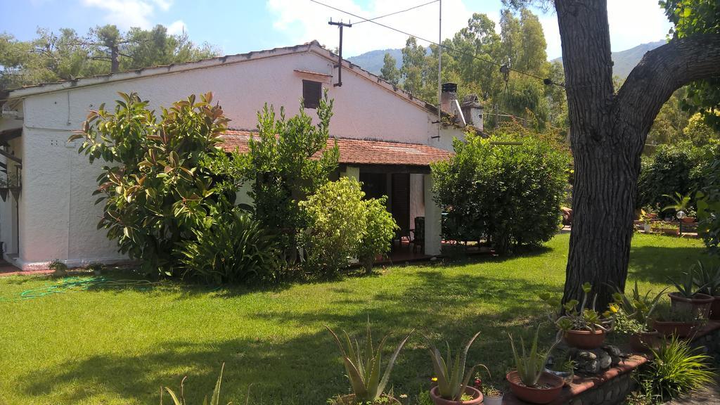 La Corte Delle Rose B&B Praia a Mare Bagian luar foto