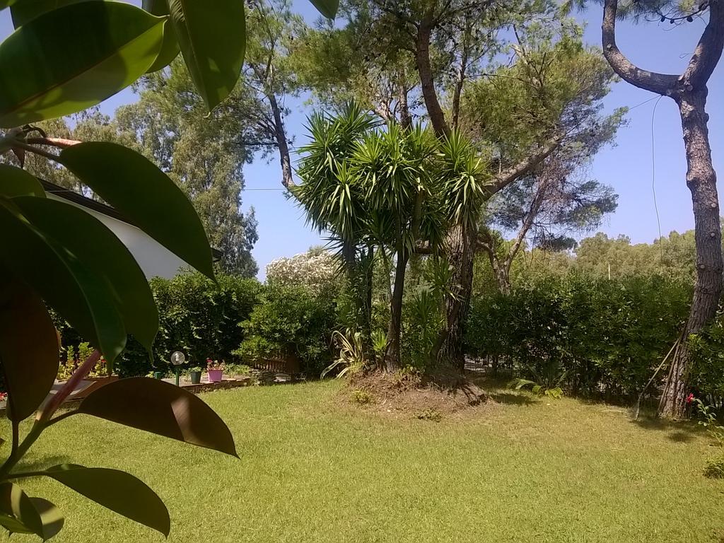 La Corte Delle Rose B&B Praia a Mare Bagian luar foto
