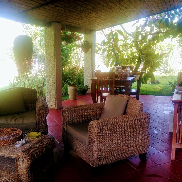 La Corte Delle Rose B&B Praia a Mare Bagian luar foto